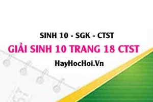 Giải Sinh 10 trang 18 Chân trời sáng tạo SGK